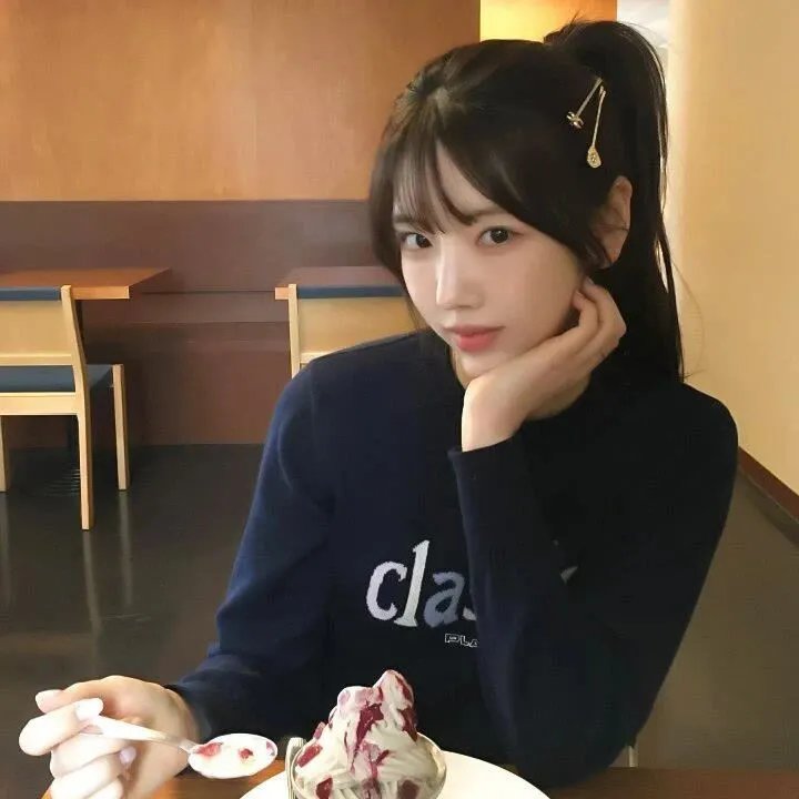 大搜查之女国语